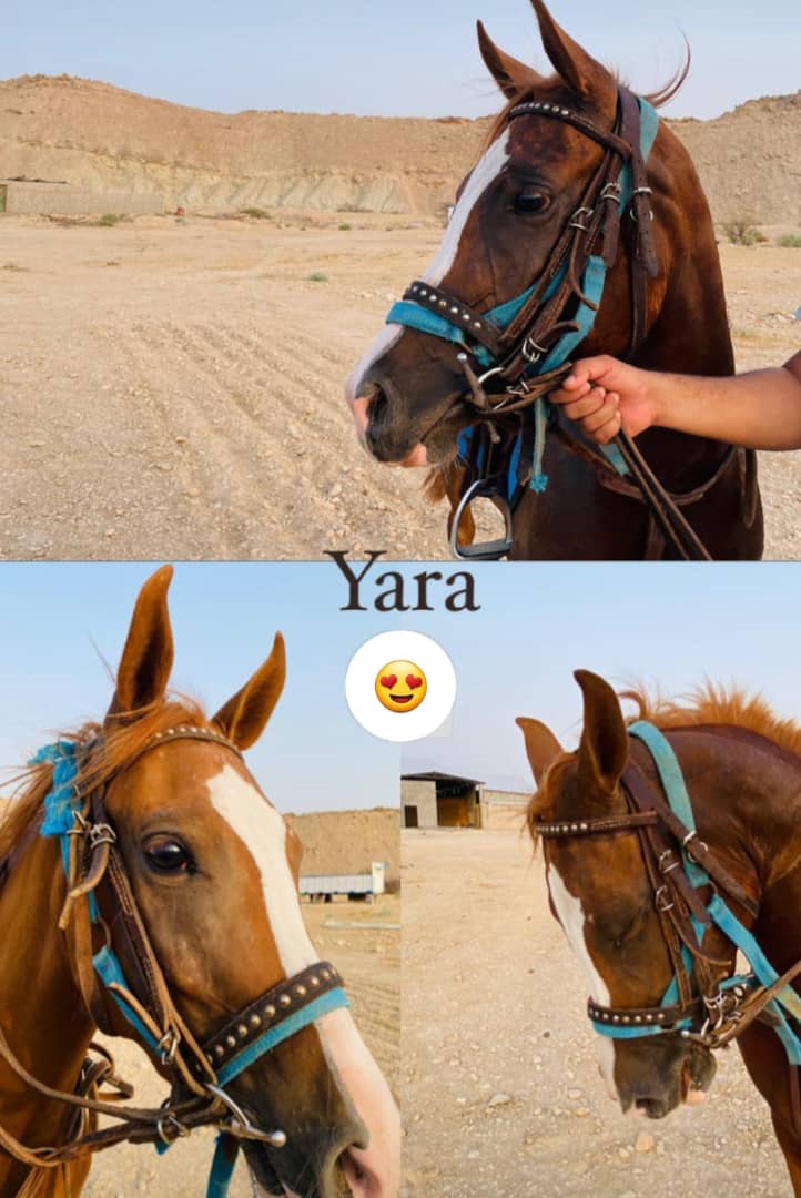 ارسال به سراسر کشور